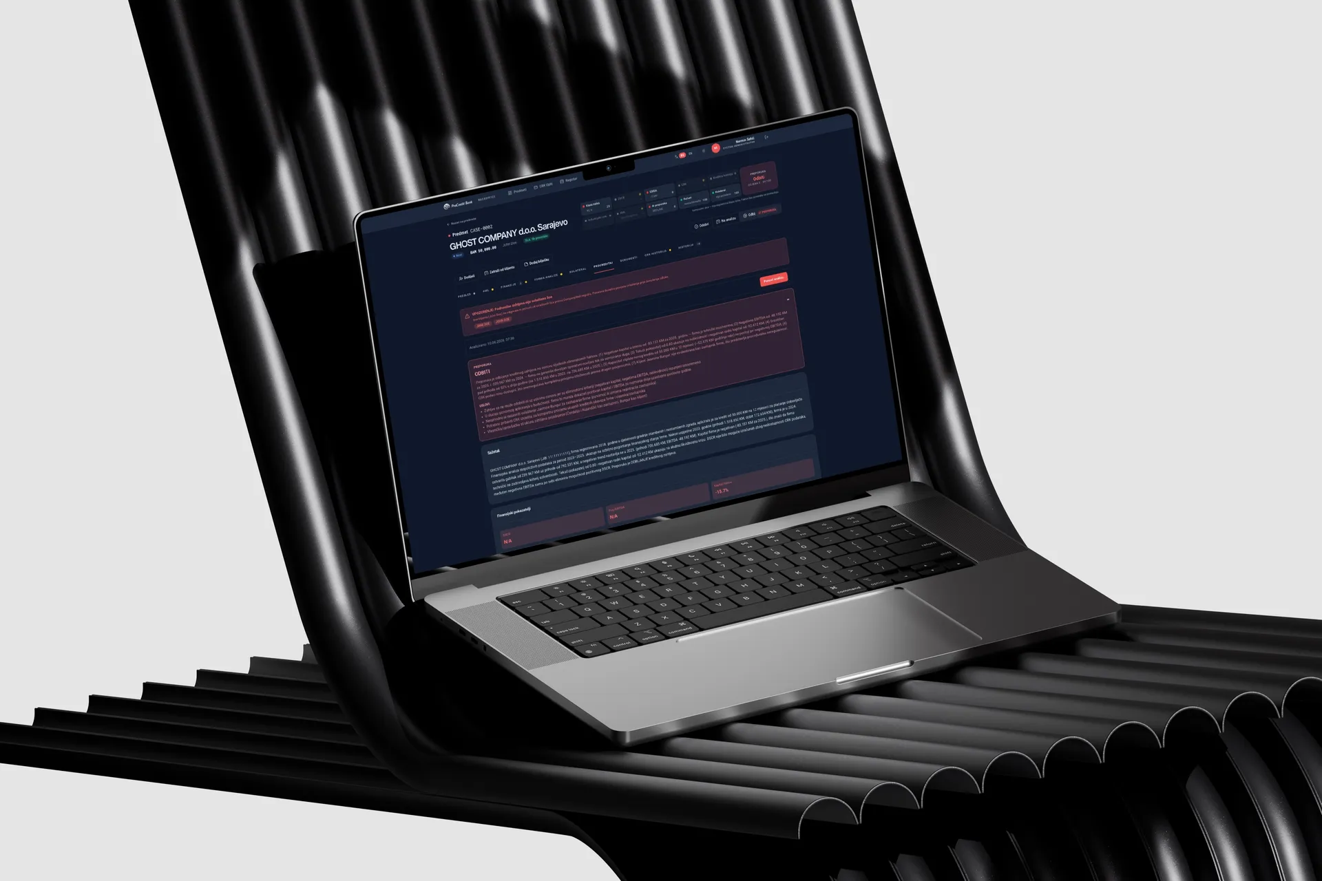 Vincu Decision — a company credit file inside the ProCredit backoffice, on the machine it runs on
