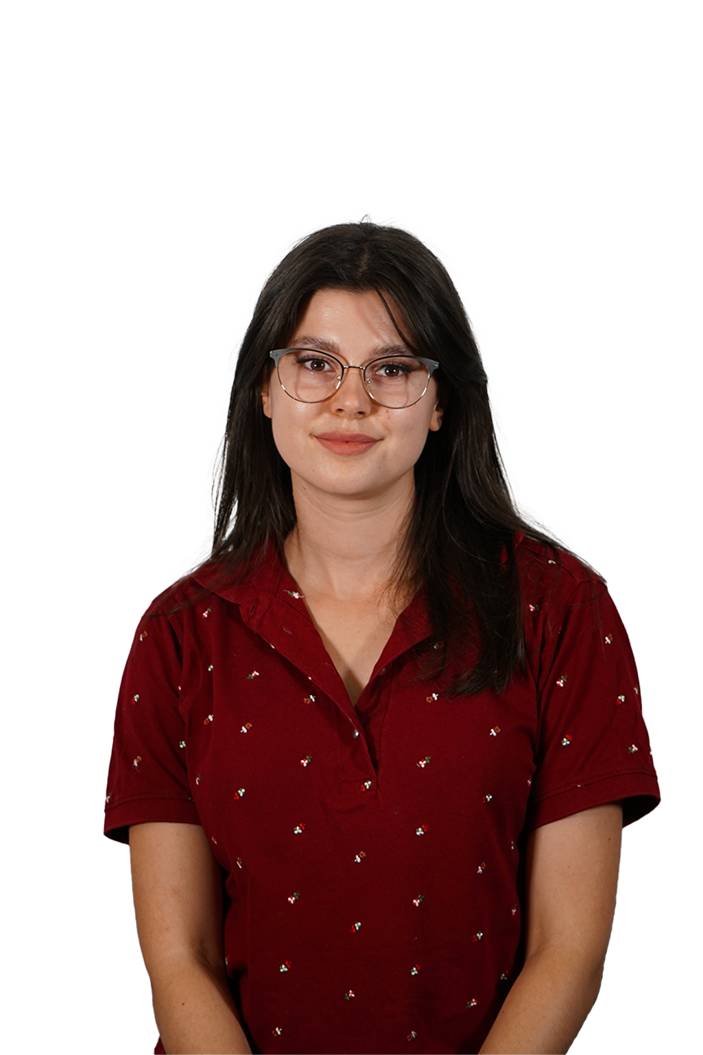 dzeneta džananović