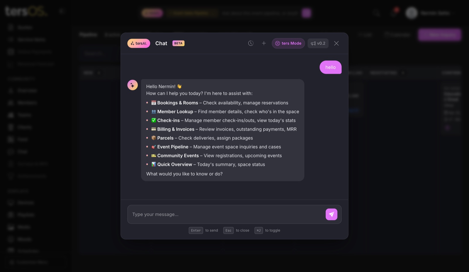 tersAI chat assistant showing available operations